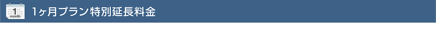 1ヶ月プラン特別延長料金