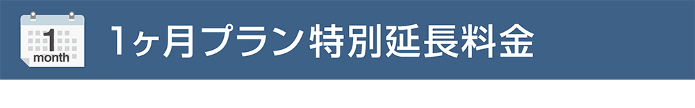 1ヶ月プラン特別延長料金
